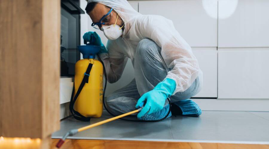 Professional pest control services in Hood River